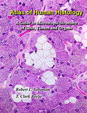 atlas of human histology