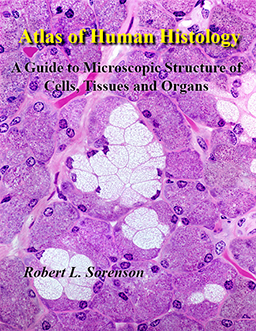 atlas of human histology